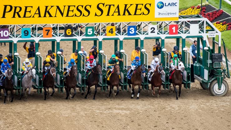 preakness stakes betting tips